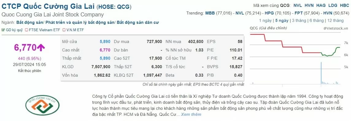 Cổ phiếu QCG của Quốc Cường Gia Lai 'ngược dòng'