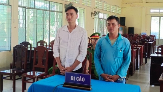 dong thap trom bon cay mai canh hai ga dao chich linh 16 thang tu