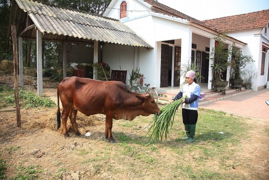 danh hon 14000 ty dong thuc hien tro cap xa hoi