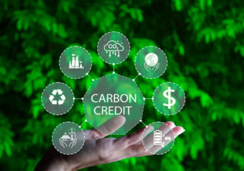 Tín chỉ Carbon: Đôi điều cân nhắc