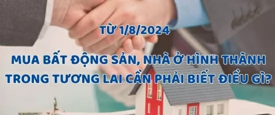 Infographic | Mua bất động sản, nhà ở hình thành trong tương lai cần phải lưu ý điều gì?