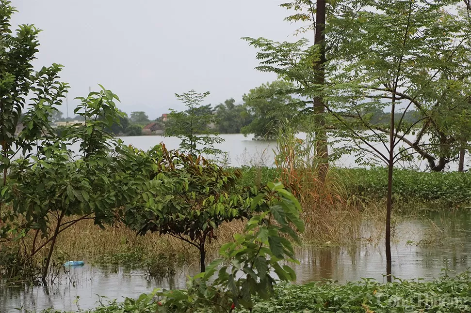 Hà Nội: Nhiều nơi tại Chương Mỹ vẫn ngập sâu, người dân chật vật di chuyển nơi 'xóm lũ'