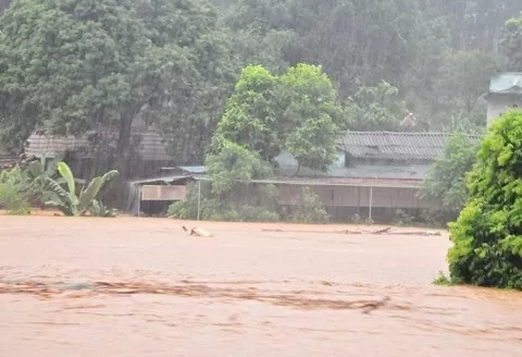 Lào Cai ban hành công điện khẩn ứng phó mưa lũ