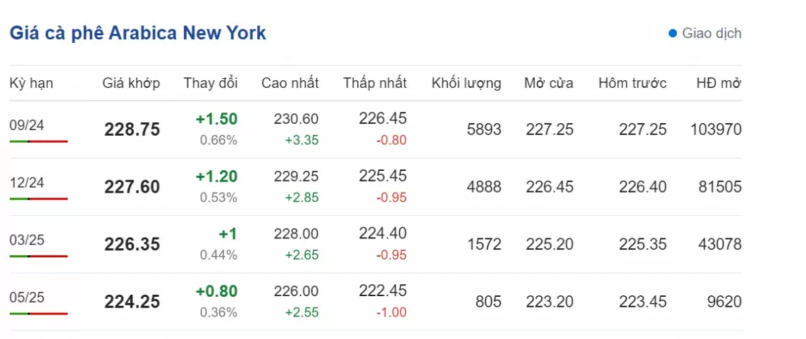 Dự báo giá cà phê ngày 3/8/2024: