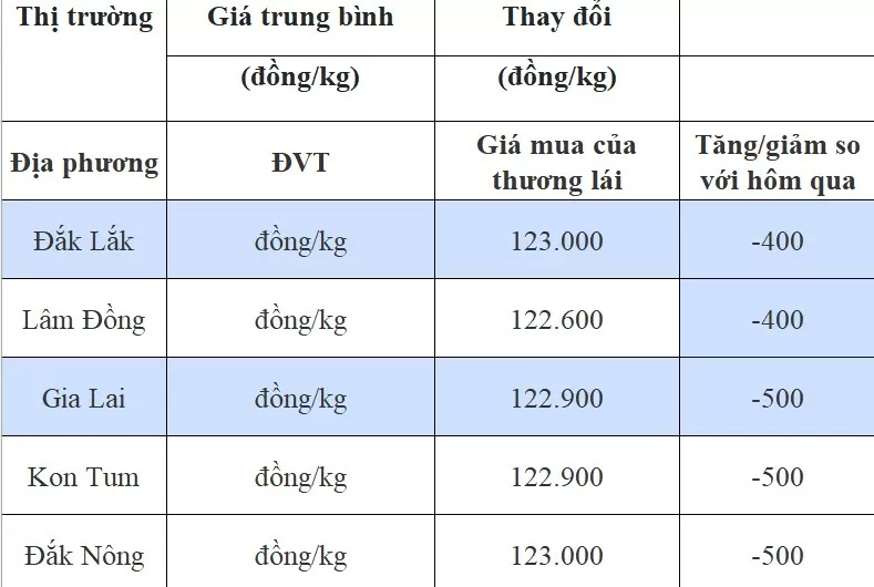 Giá cà phê hôm nay 3/8/2024: