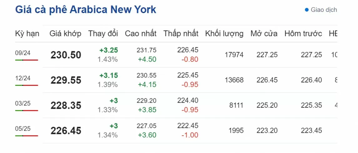 Dự báo giá cà phê ngày 4/8/2024: Giá cà phê