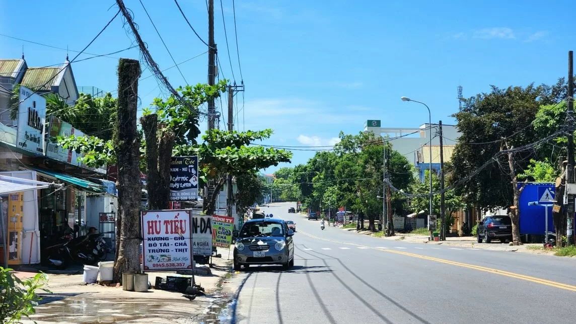 Quảng Trị: Chủ đầu tư cho biết về lý do chặt hàng loạt cây xanh