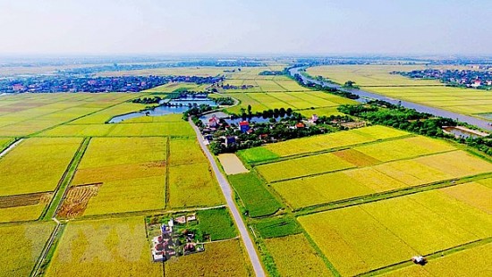 diem moi luat dat dai 2024 tang han muc nhan chuyen quyen su dung dat nong nghiep