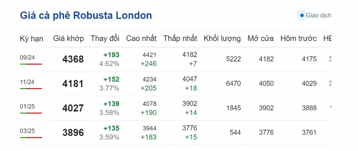 Dự báo giá cà phê ngày 7/8/2024: