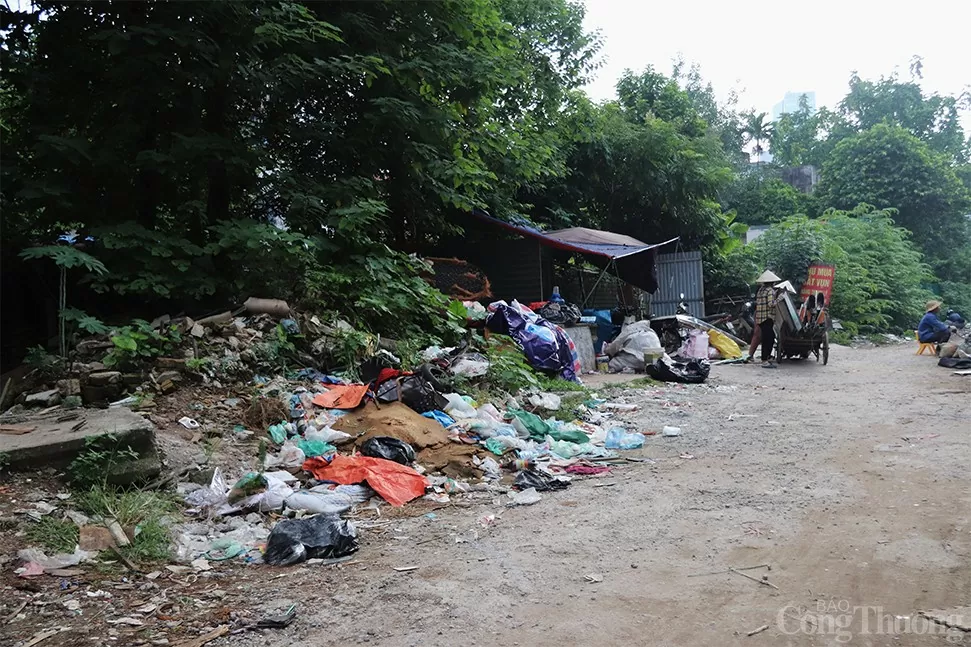 'Tái mặt' cam chịu sống với 'bể phốt lộ thiên'