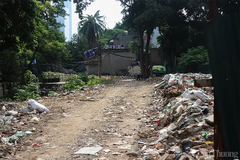 'Tái mặt' cam chịu sống với 'bể phốt lộ thiên'