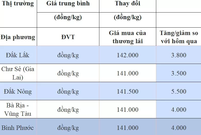 Dự báo giá tiêu ngày 11/8/2024: