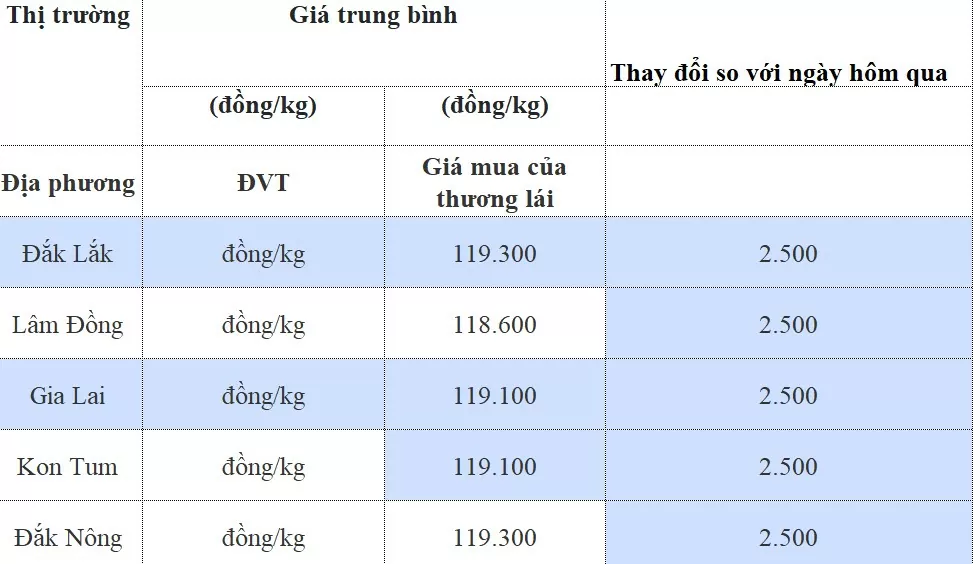 Giá cà phê hôm nay 11/8/2024: Giá cà phê