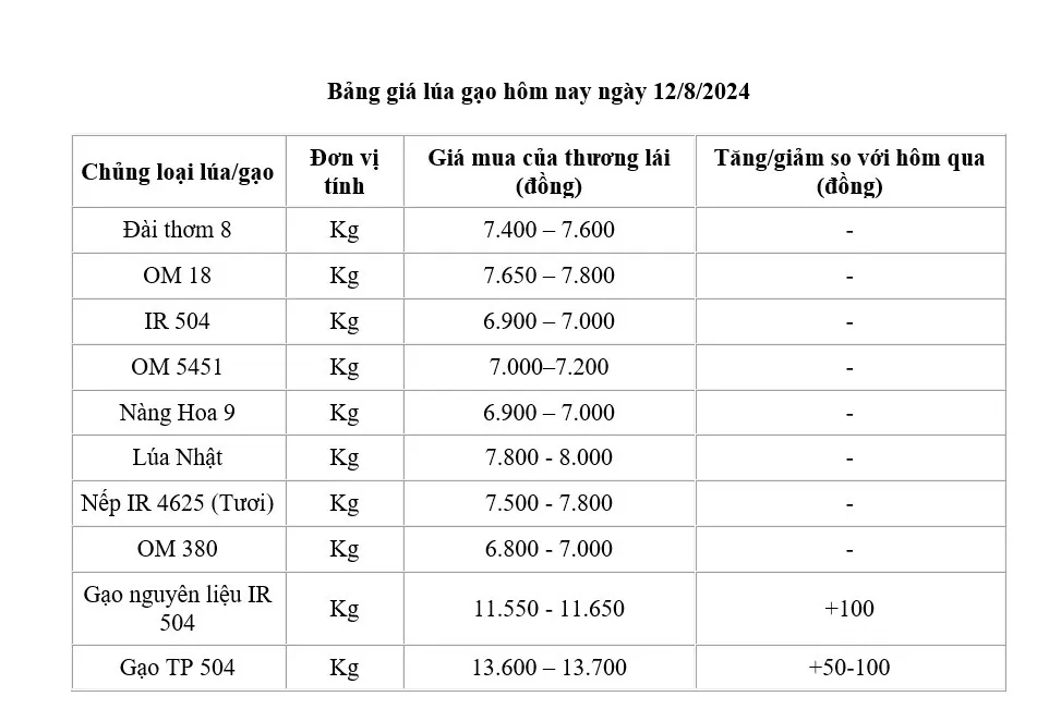 Giá lúa gạo hôm nay ngày 12/8/2024: Giá lúa neo cao, giá gạo xuất khẩu ở mức cao