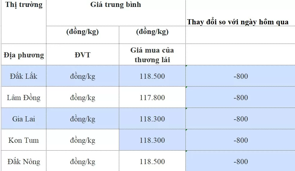 Dự báo giá cà phê 14/8/2024: