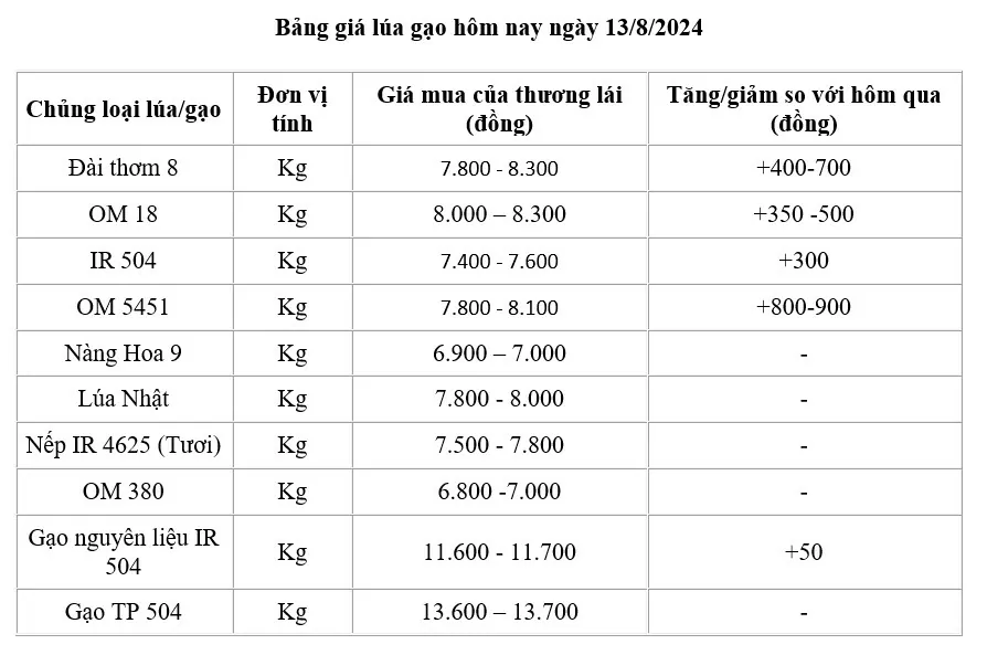 Giá lúa gạo hôm nay ngày 13/8/2024: Giá lúa bật tăng trở lại từ 200 - 400 đồng/kg