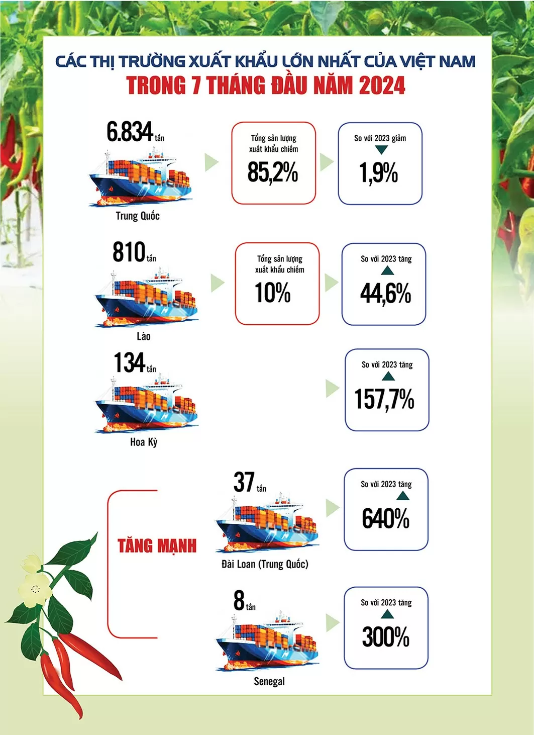 Infographic | Xuất khẩu ớt sang thị trường Đài Loan (Trung Quốc) tăng 640%