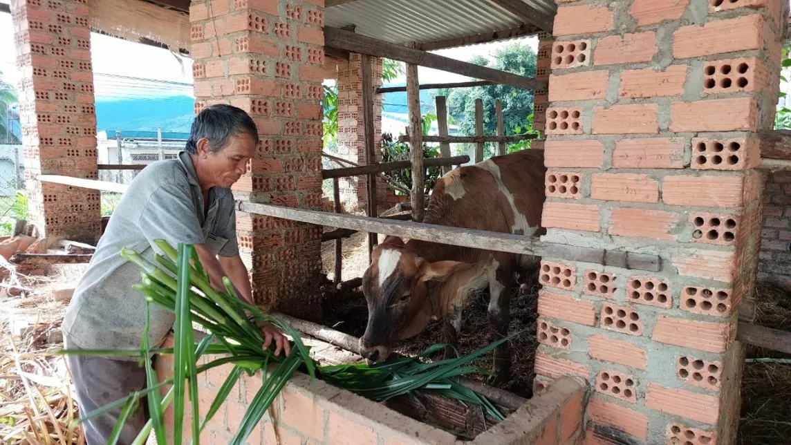 Gia Lai: Kiểm tra dấu hiệu vi phạm của Giám đốc và Phó Giám đốc Sở Nội vụ