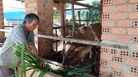 gia lai hieu qua tu chuong trinh muc tieu quoc gia giam ngheo ben vung giai doan 2021 2025