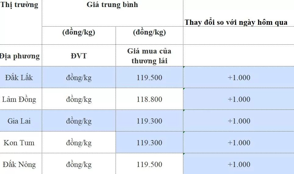 Dự báo giá cà phê 15/8/2024: