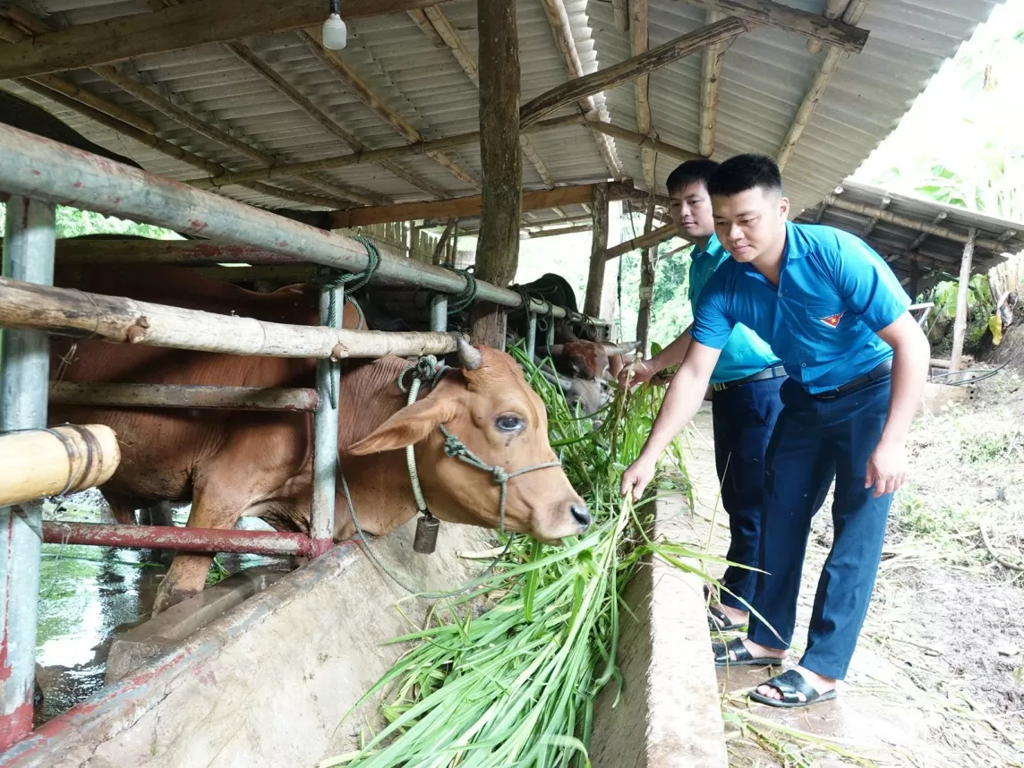 kinh tế mường lát