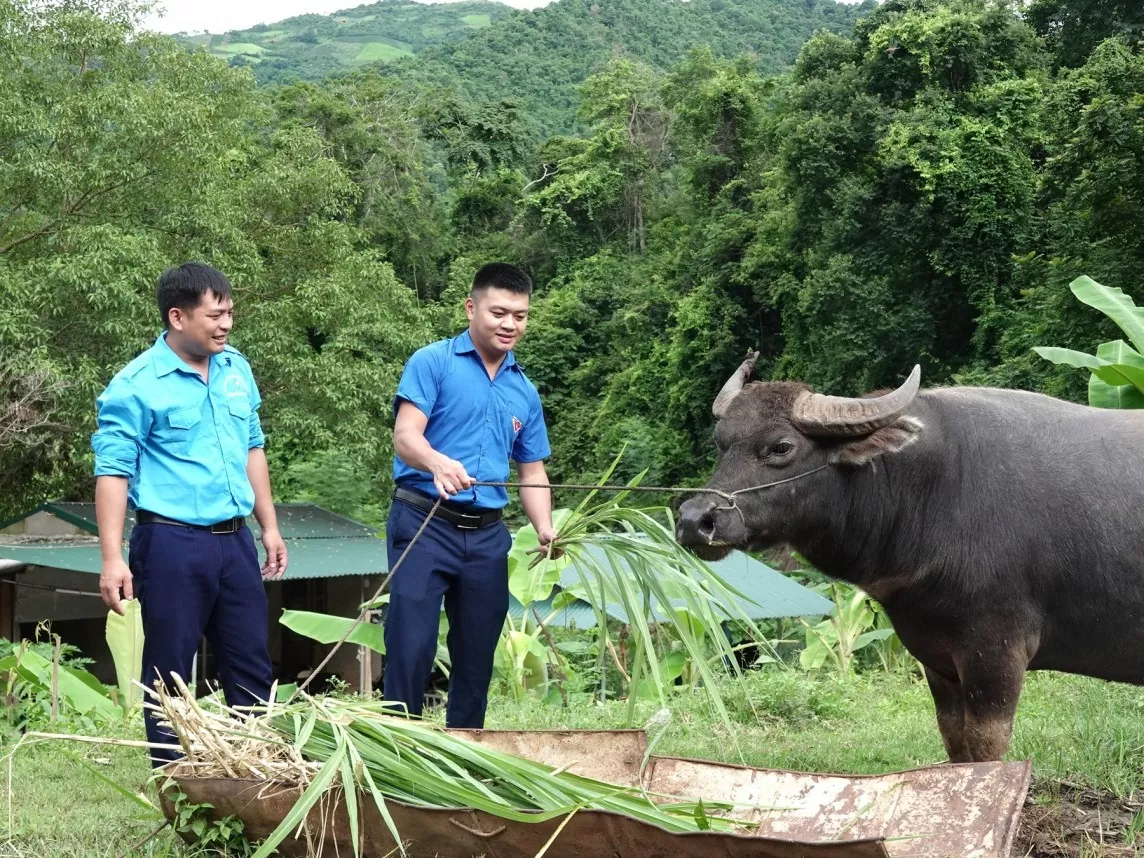 Thanh Hóa: Đoàn viên làm giàu trên mảnh đất vùng biên nghèo khó