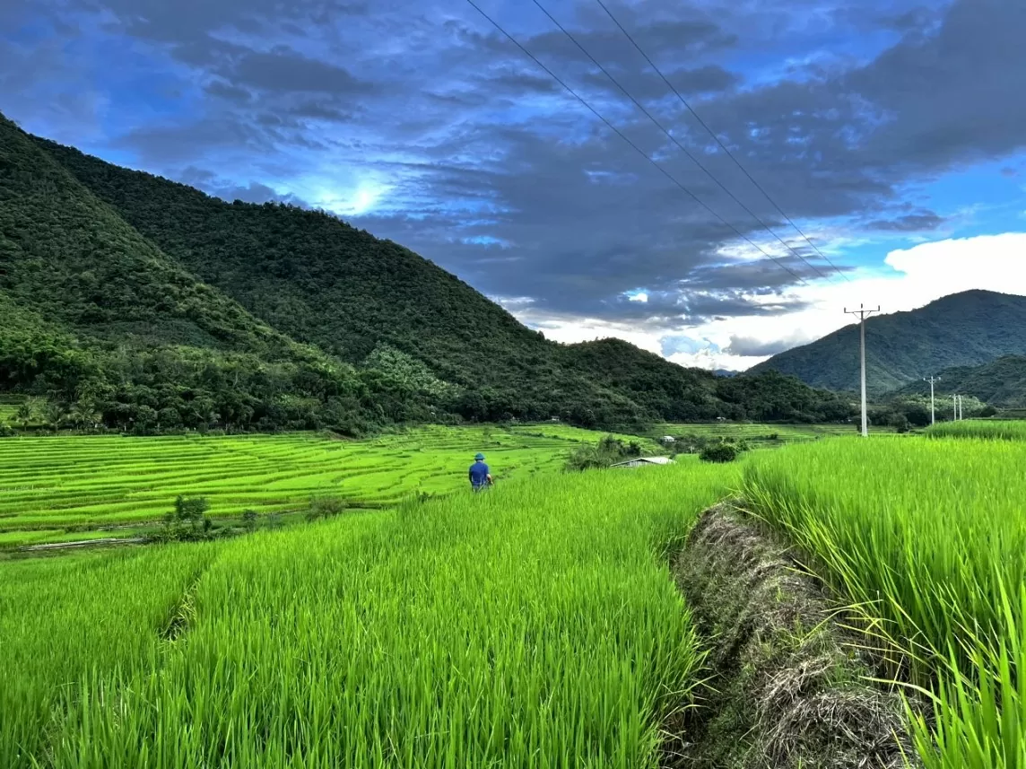 kinh tế mường lát