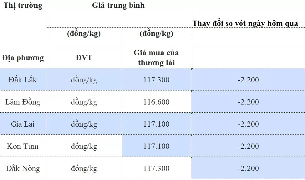 Dự báo giá cà phê 16/8/2024: