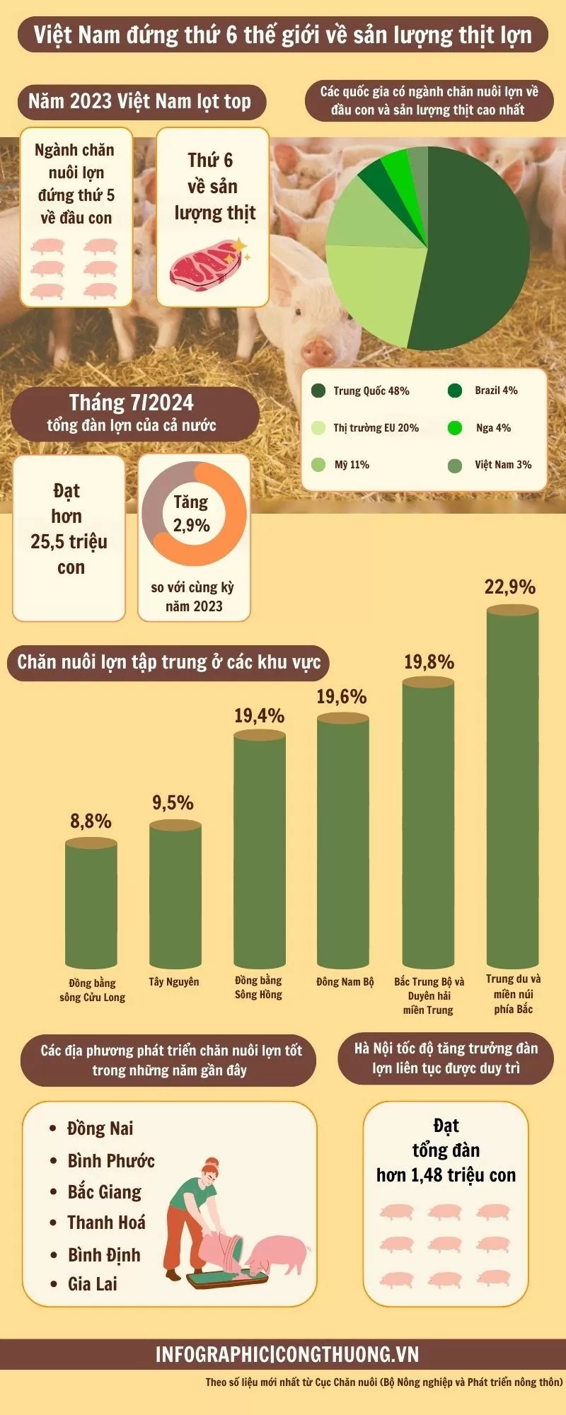 Infographic | Việt Nam đứng thứ 6 thế giới về sản lượng thịt lợn