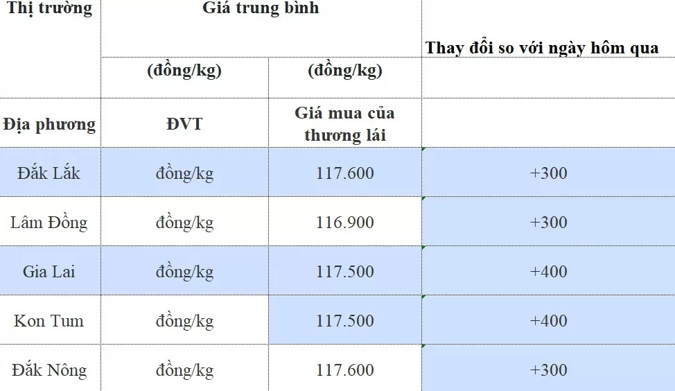 Dự báo giá cà phê 17/8/2024: Tiếp đà tăng