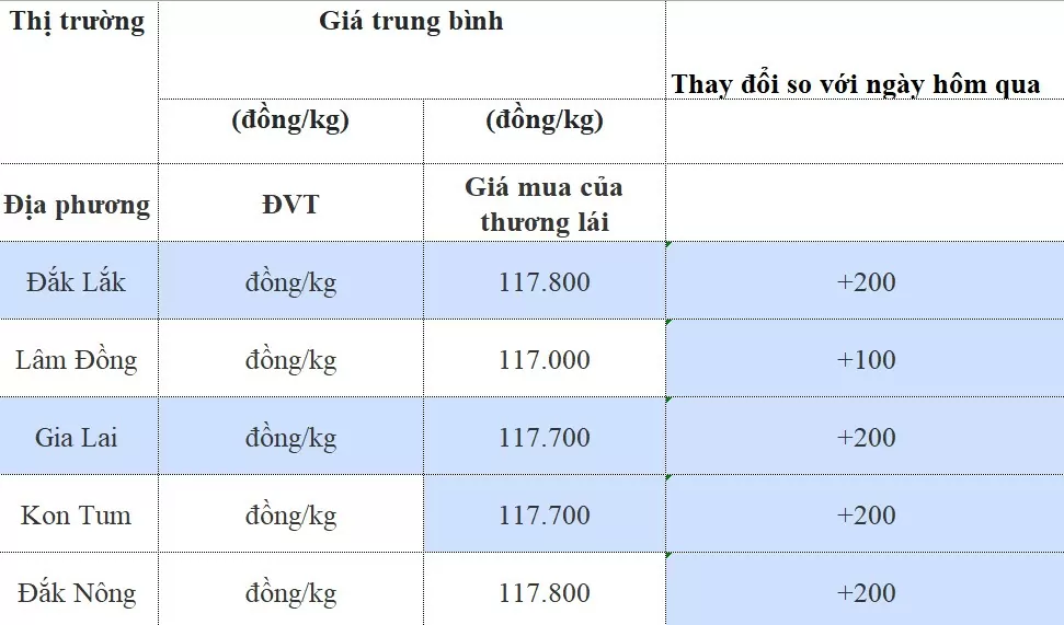 Dự báo giá cà phê 18/8/2024: T