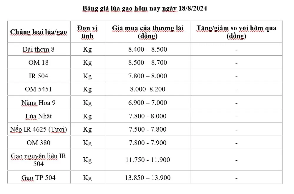 Giá lúa gạo hôm nay 18/8/2024: Giá lúa tăng 100 -300 đồng, gạo neo ở mức cao