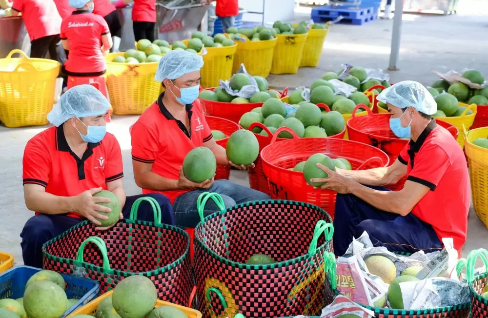 Bộ Công Thương cùng những nỗ lực đàm phán, mở rộng thị trường Trung Quốc cho hàng hóa xuất khẩu