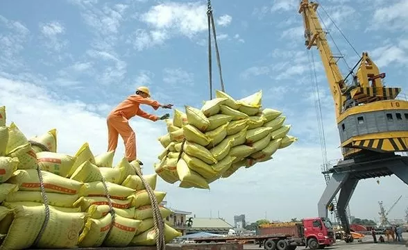 Giá nông sản hôm nay 18/8: Tiêu tăng mạnh trở lại, sầu riêng Ri6 và sầu Thái duy trì ổn định