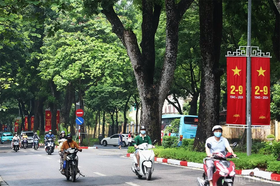 Thủ đô Hà Nội rợp cờ hoa chào mừng 79 năm Cách mạng tháng Tám và Quốc khánh 2/9