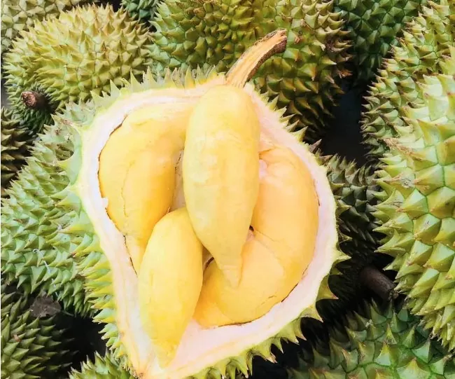 Xuất khẩu sầu riêng bùng nổ, nhắm mốc 3 tỷ USD