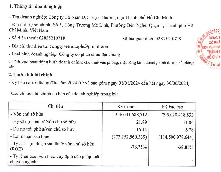 Setra Corp liên tục báo lỗ trong những năm gần đây. Ảnh chụp màn hình