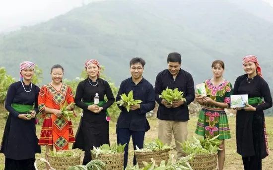 Lào Cai: Triển khai nhiều chương trình, đề án giúp thanh niên khởi nghiệp