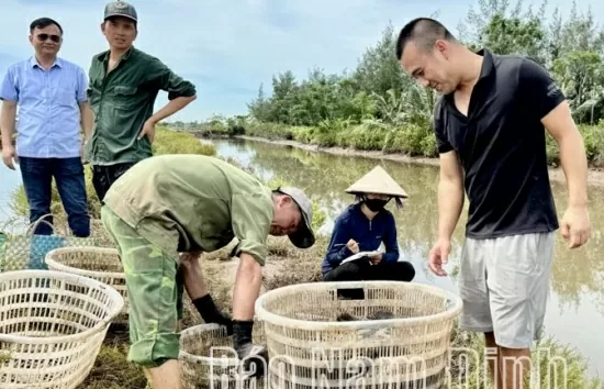 Nam Định: 15/16 hộ dân khu vực Cồn Xanh đồng thuận bàn giao mặt bằng