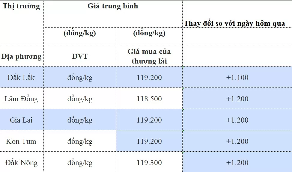 Giá cà phê hôm nay 22/8/2024: