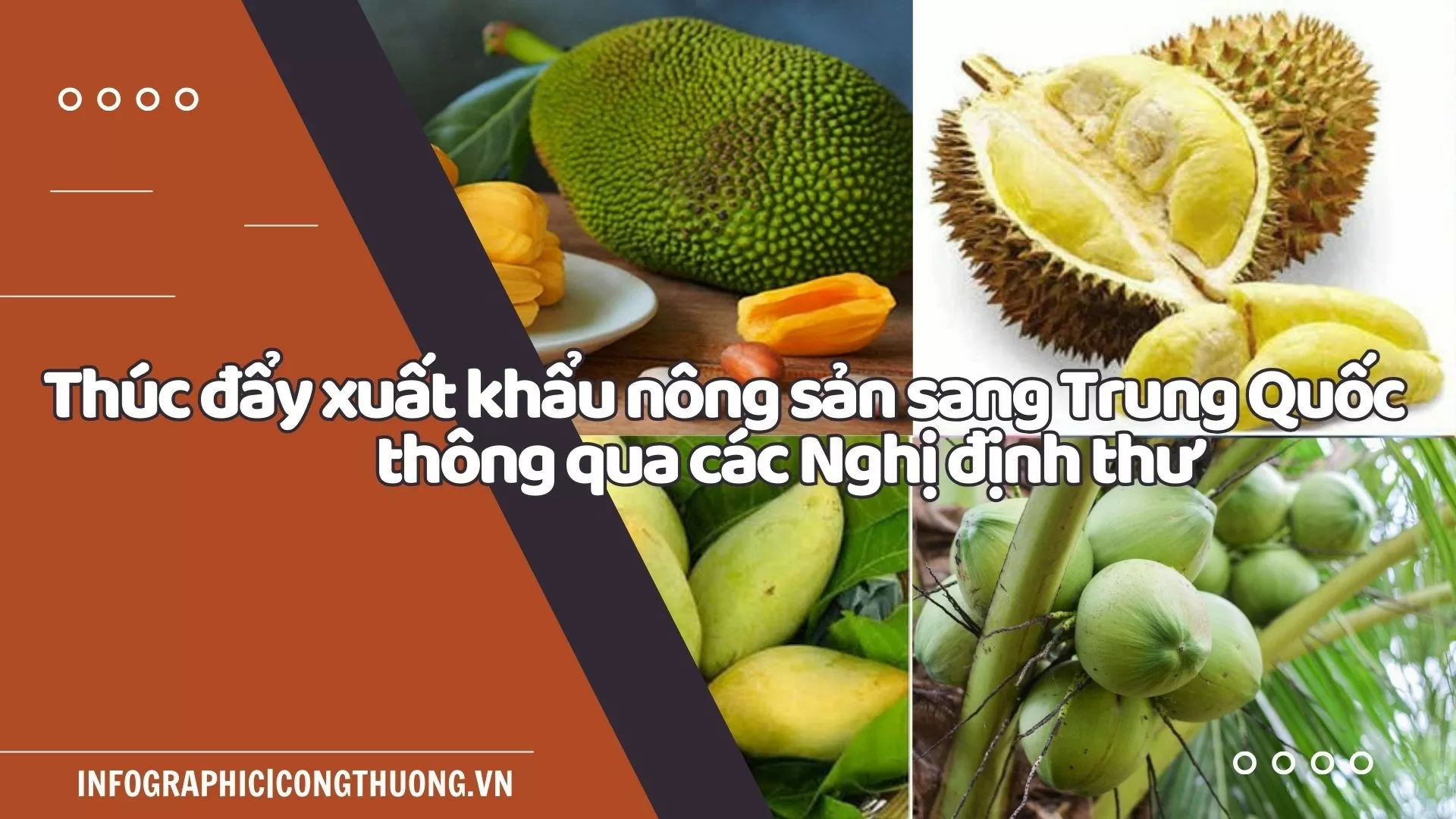 Infographic | Thúc đẩy xuất khẩu nông sản sang Trung Quốc thông qua các Nghị định thư