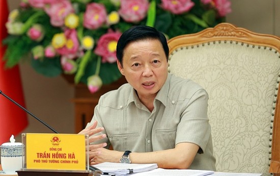 phat trien thi truong carbon la cuoc choi ai nhanh thi thang