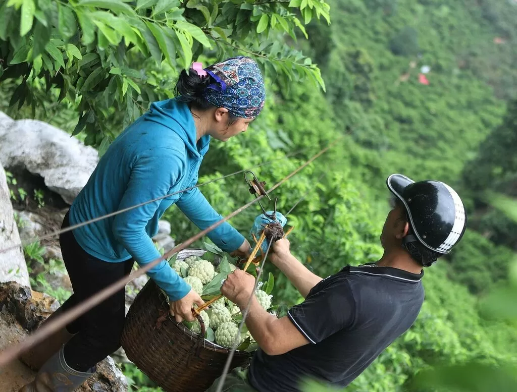 Công nghệ số đưa nông sản Lạng Sơn vươn ra 'biển lớn'