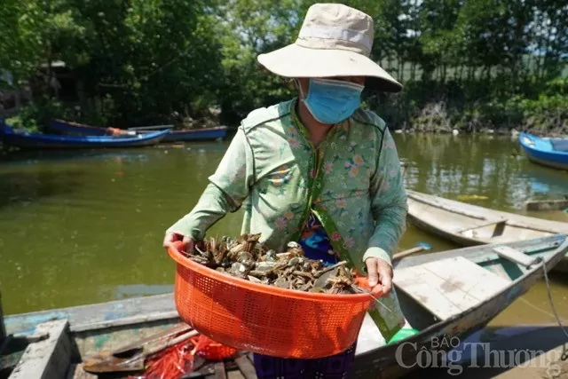 Tới thăm làng ốc đảo Hà Liên đẹp như bức tranh cổ tích giữa đời thực