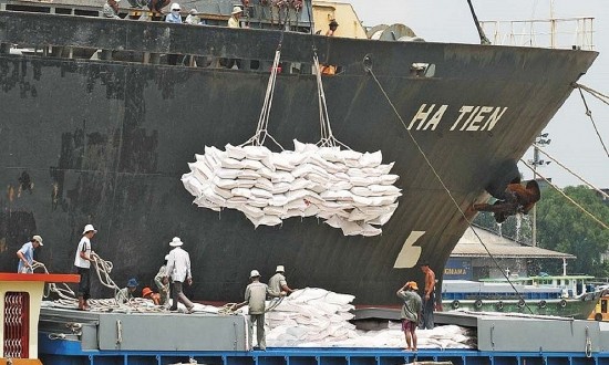 indonesia tang moi thau 350000 tan gao co hoi lon cho doanh nghiep viet