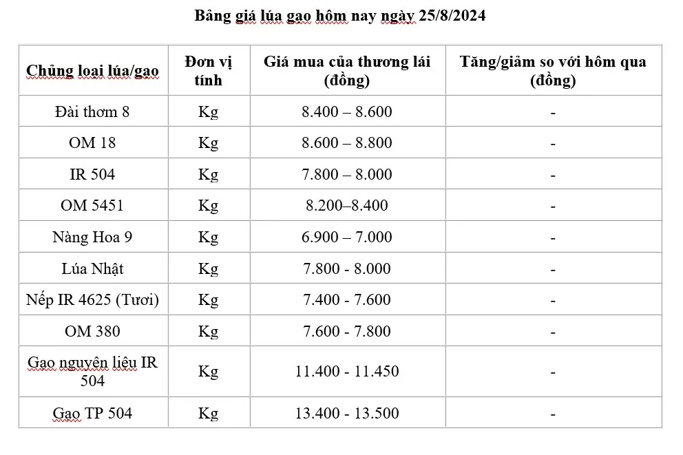 Giá lúa gạo hôm nay 25/8/2024: