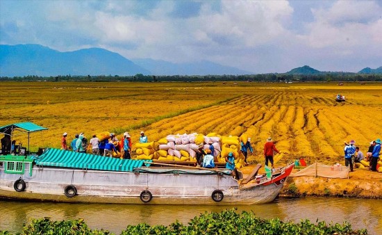 hoi nghi xuc tien thuong mai mo ra co hoi cho doanh nghiep dong bang song cuu long