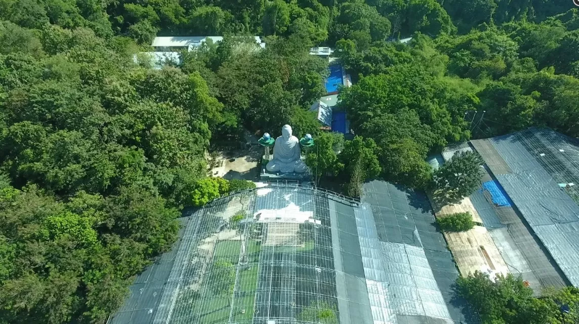 Sư Thích Chân Quang nói đọc báo là góp phần phá rừng, nhưng chùa Phật Quang lại lấn chiếm đất rừng