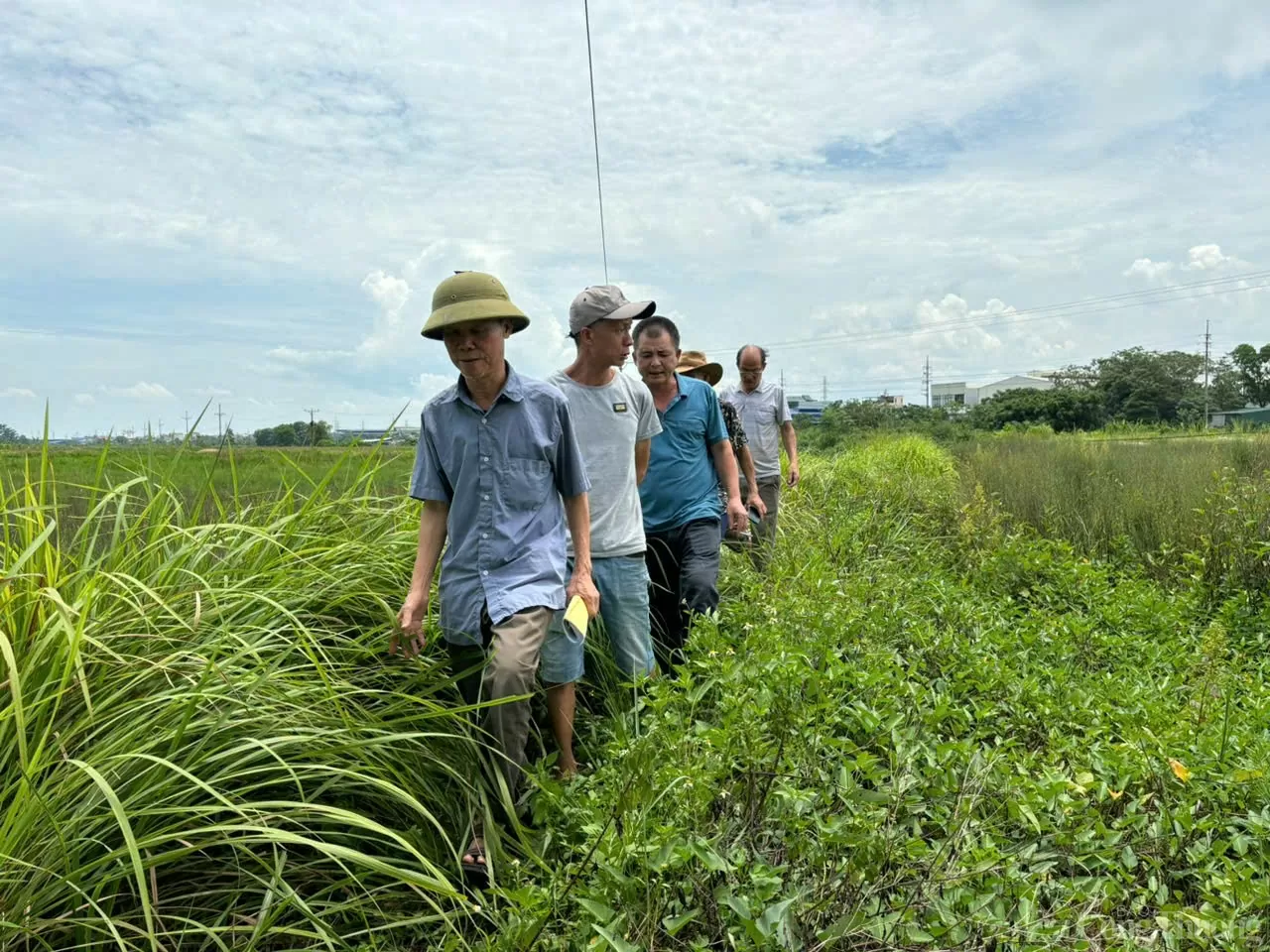 Cụm công nghiệp làng nghề Chàng Sơn giai đoạn 2 thi công chậm tiến độ, dân bức xúc về quyết định cưỡng chế đất đai