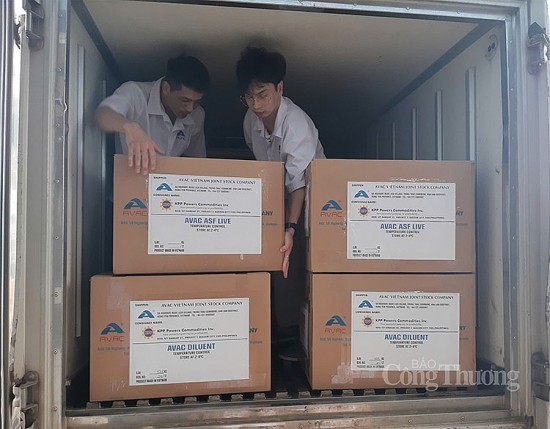 150000 lieu vac xin dich ta lon chau phi cua avac se duoc xuat khau sang philippines